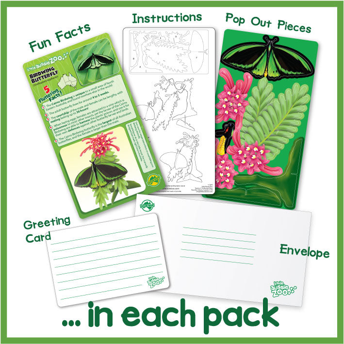 Birdwing Butterfly Pop-Out Postcard