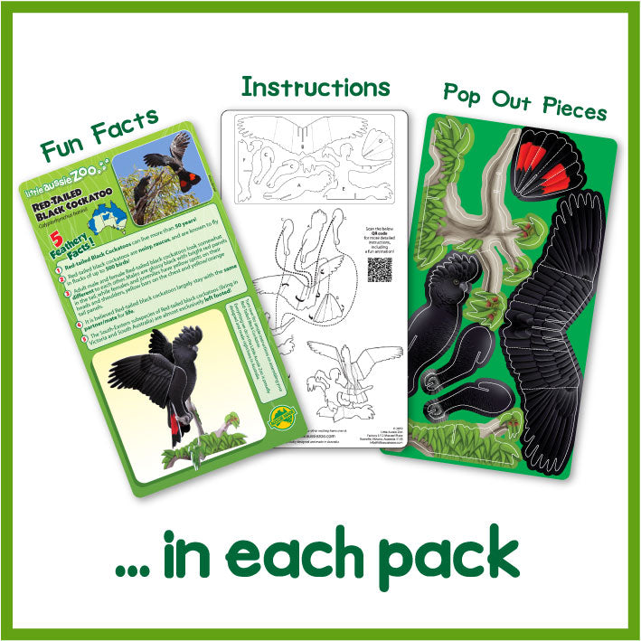 Red-Tailed Black Cockatoo