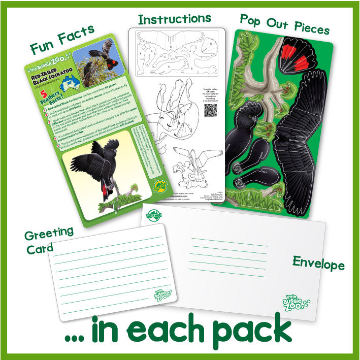 Red-Tailed Black Cockatoo Pop-Out Postcard